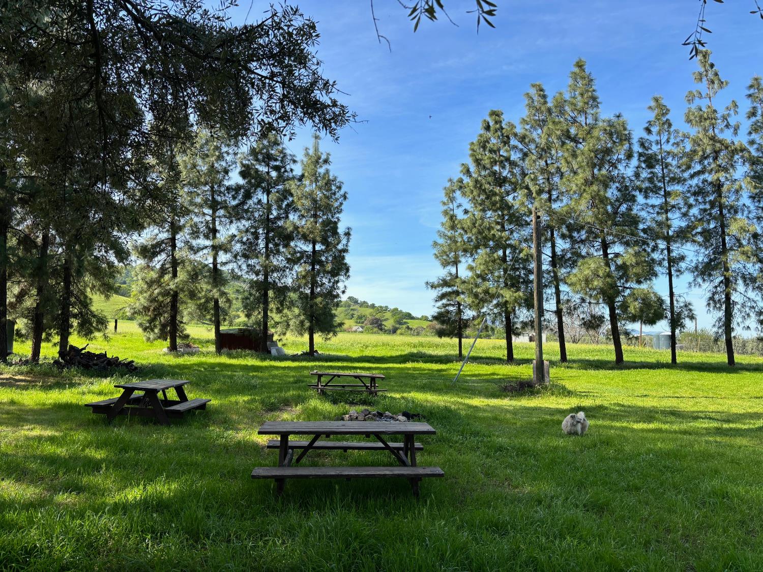 19890 County Road 79A Capay, CA 95607 - Photo 21 of 34