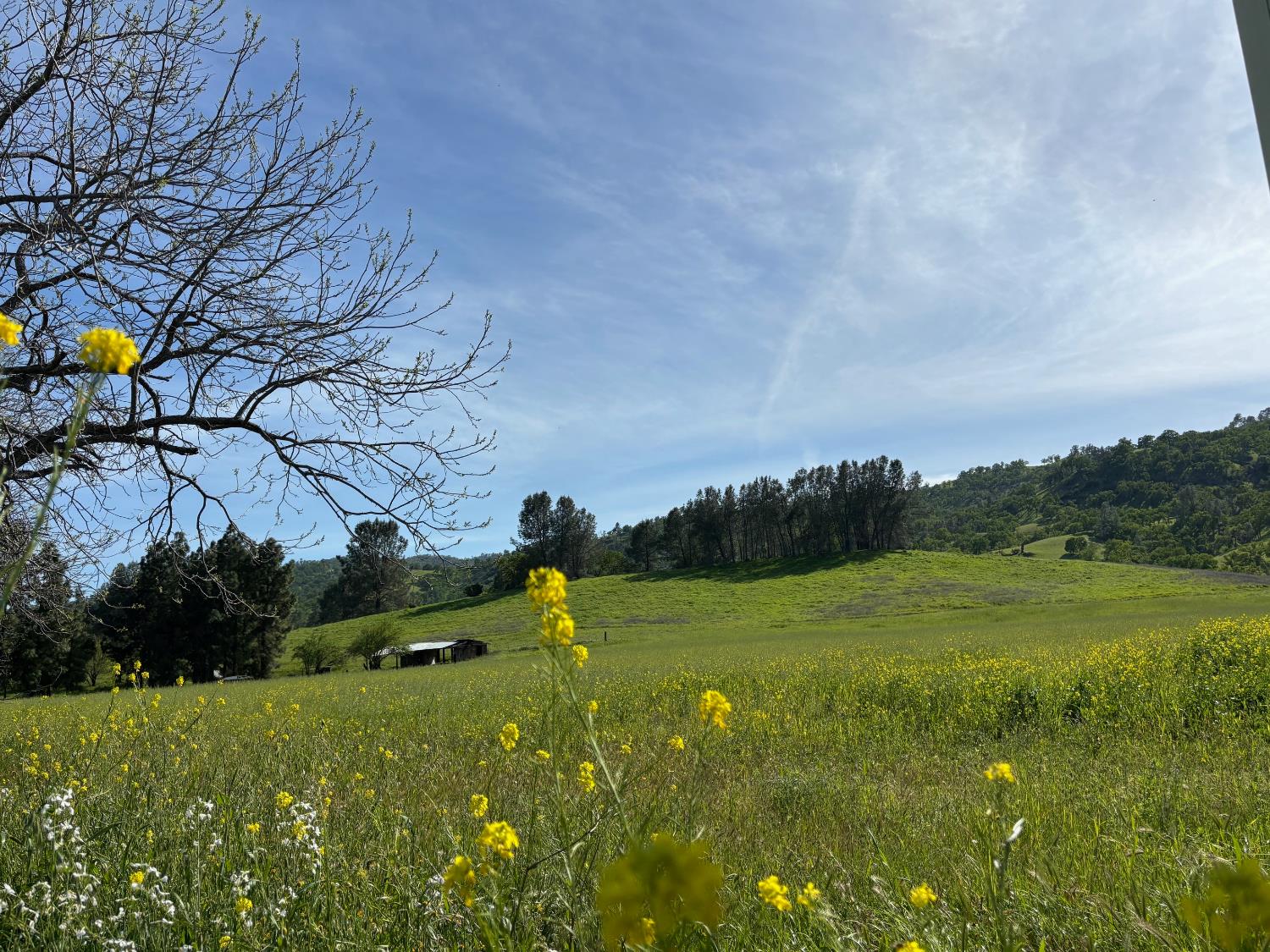 19890 County Road 79A Capay, CA 95607 - Photo 22 of 34