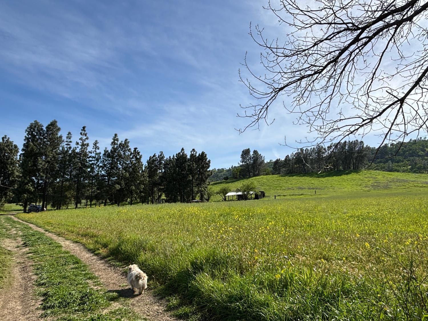 19890 County Road 79A Capay, CA 95607 - Photo 23 of 34