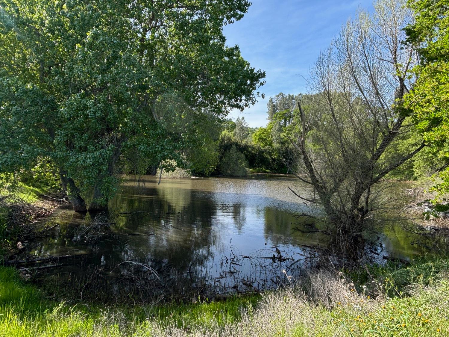 19890 County Road 79A Capay, CA 95607 - Photo 27 of 34