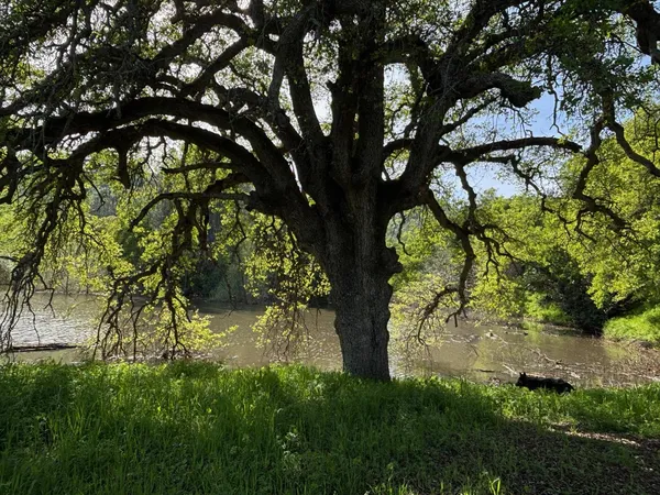 $710,000 | 19890 County Road 79A, Capay, CA 95607
