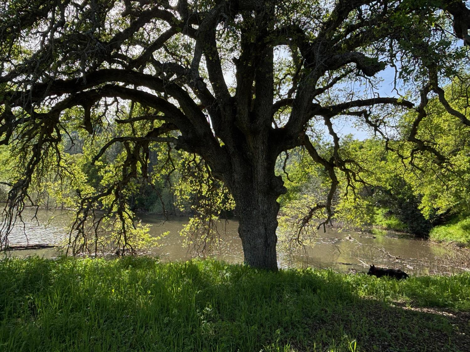 19890 County Road 79A Capay, CA 95607 - Photo 29 of 34