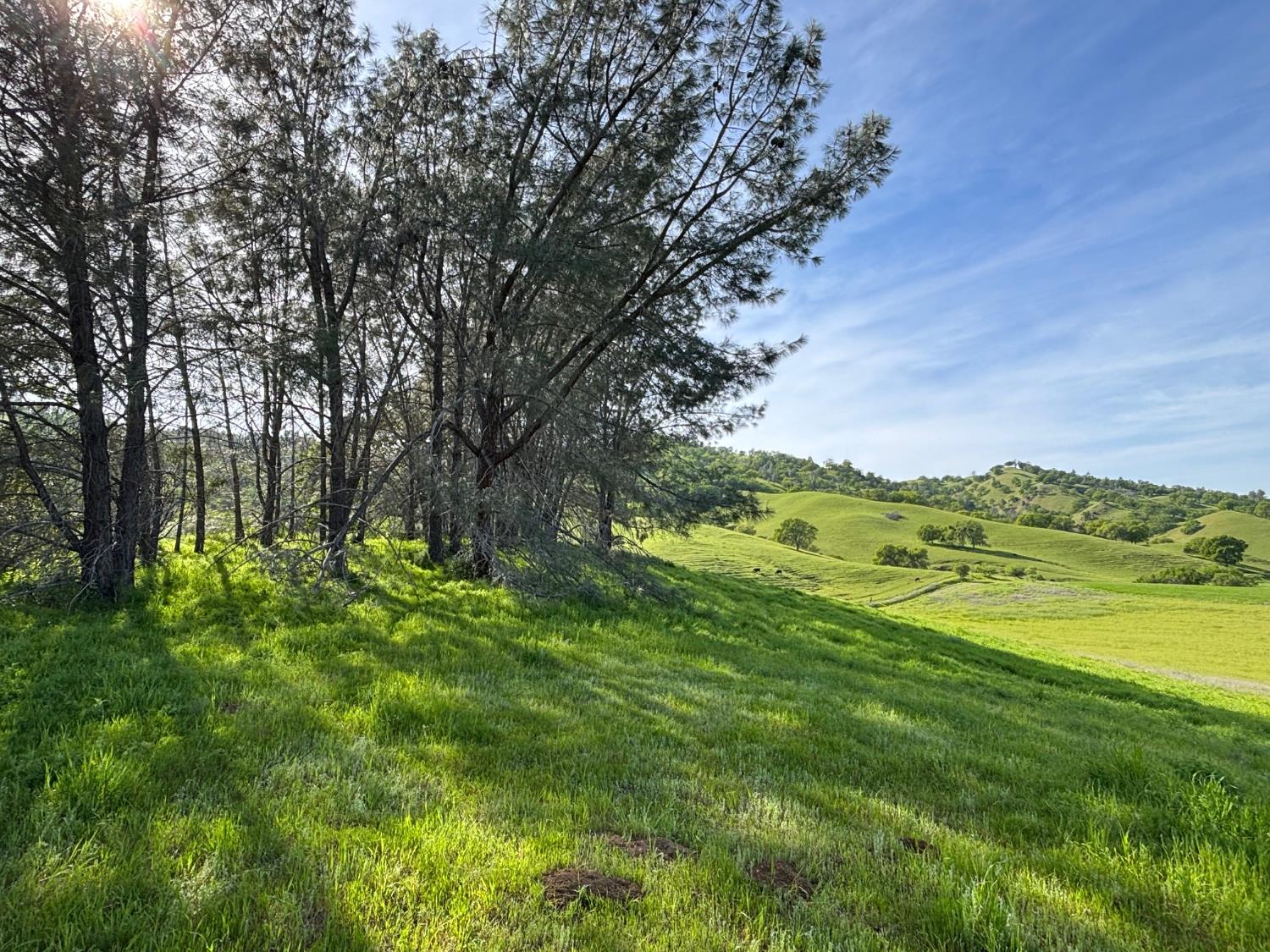 19890 County Road 79A Capay, CA 95607 - Photo 31 of 34