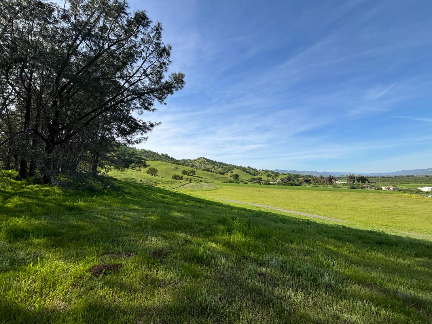 19890 County Road 79A Capay, CA 95607 - Photo 32 of 34