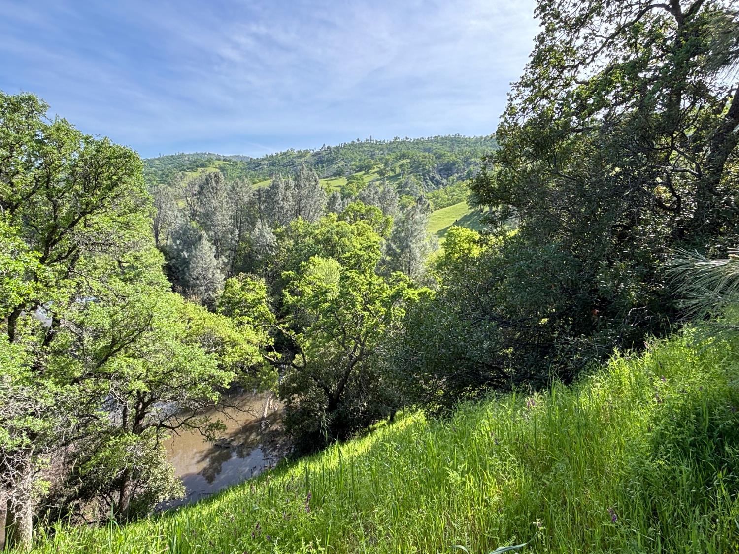 19890 County Road 79A Capay, CA 95607 - Photo 34 of 34