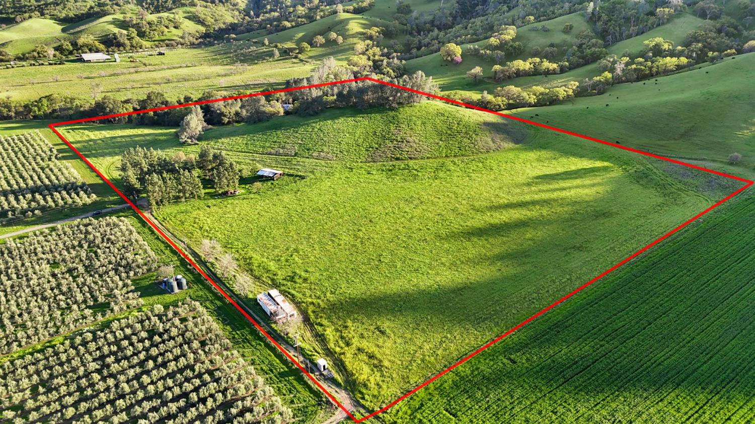 19890 County Road 79A Capay, CA 95607 - Photo 4 of 34