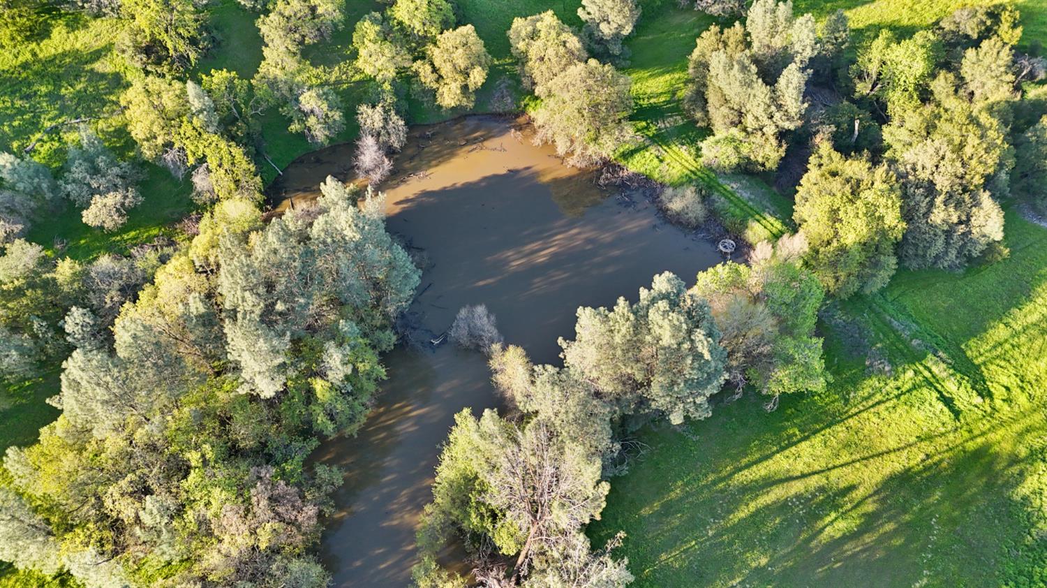 19890 County Road 79A Capay, CA 95607 - Photo 6 of 34