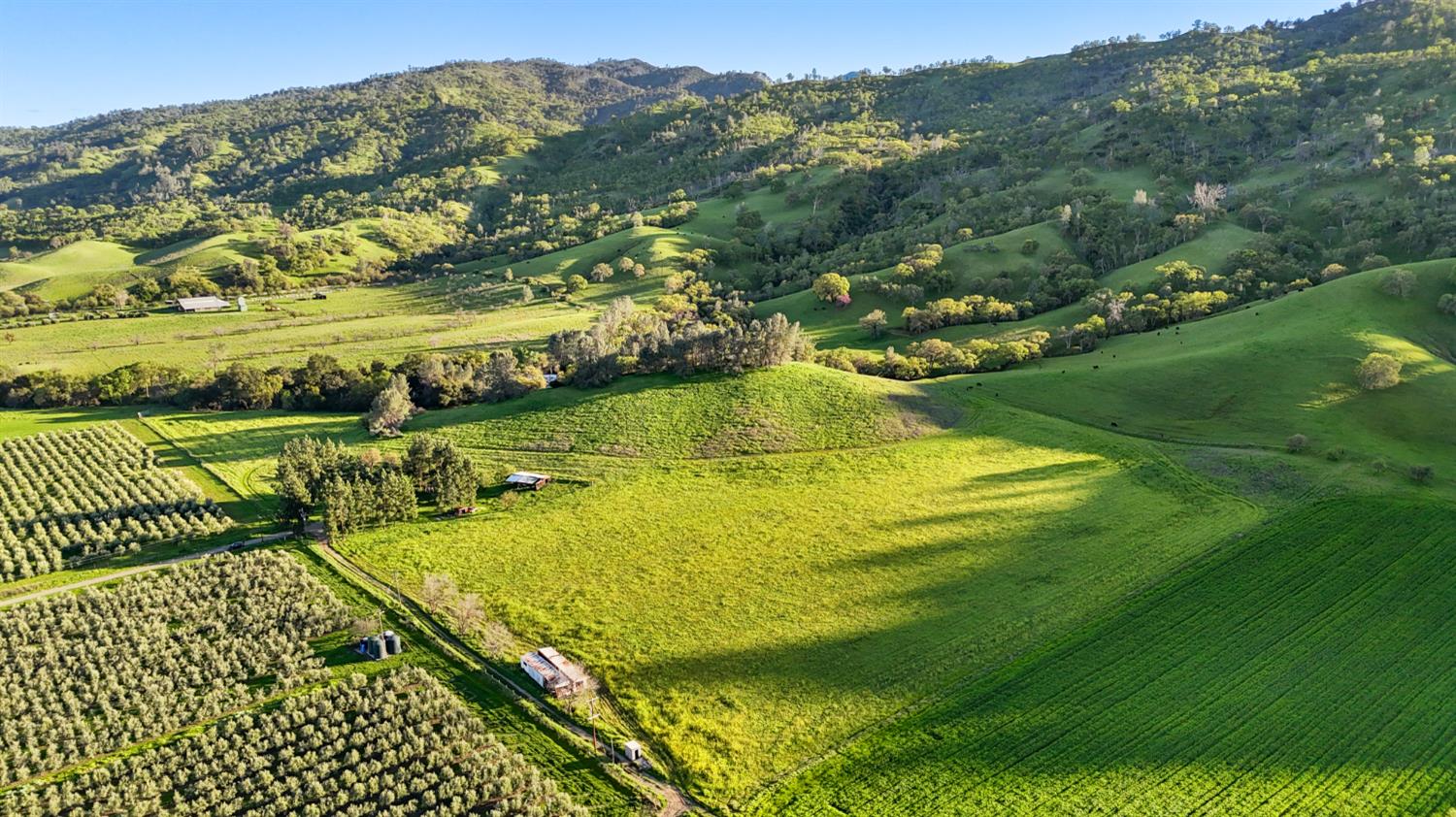 19890 County Road 79A Capay, CA 95607 - Photo 9 of 34