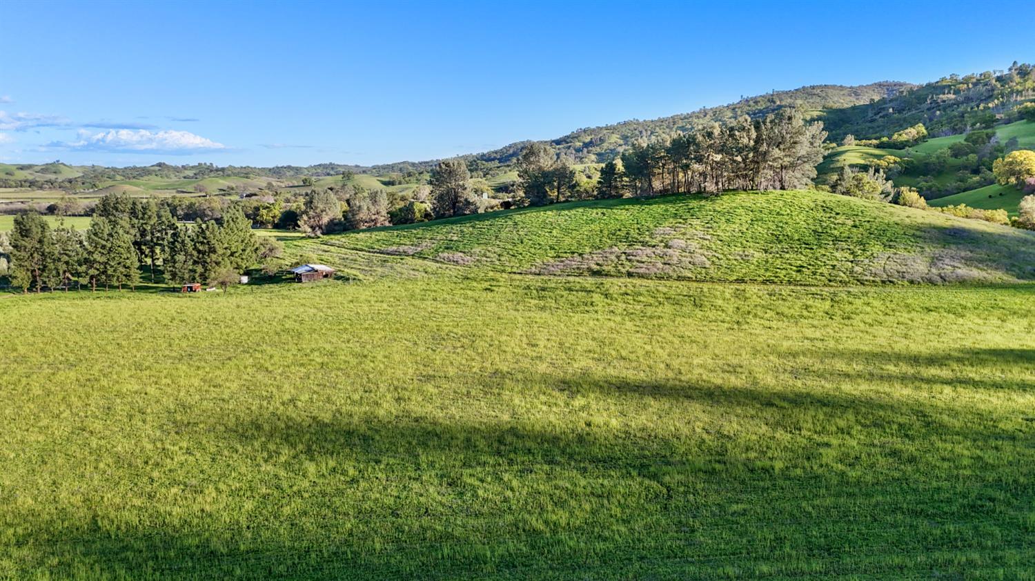 19890 County Road 79A Capay, CA 95607 - Photo 10 of 34