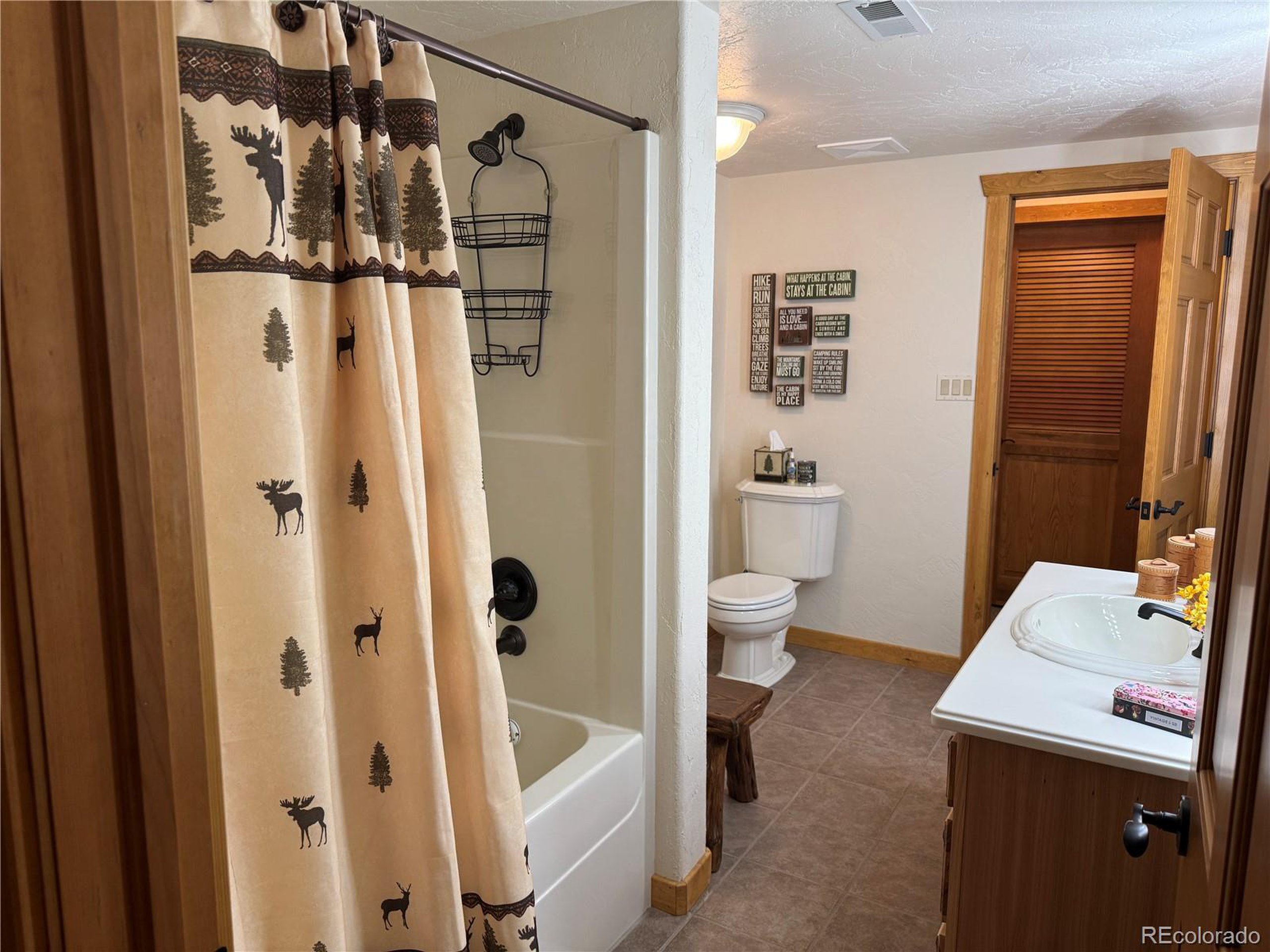 200 Moffat Road Cotopaxi, CO 81223 - Photo 22 of 42 a bathroom with a shower and a toilet