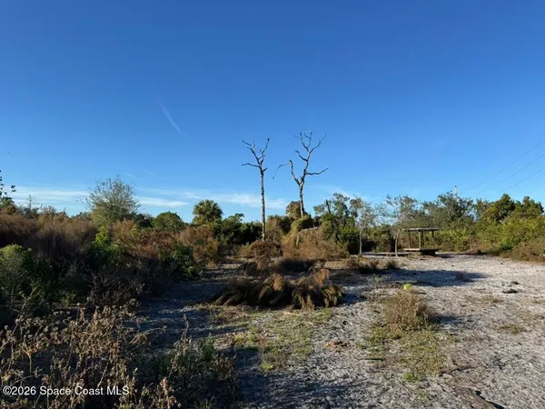 a view of a dry yard with wooden floor