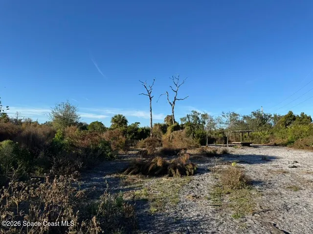 a view of a dry yard with wooden floor