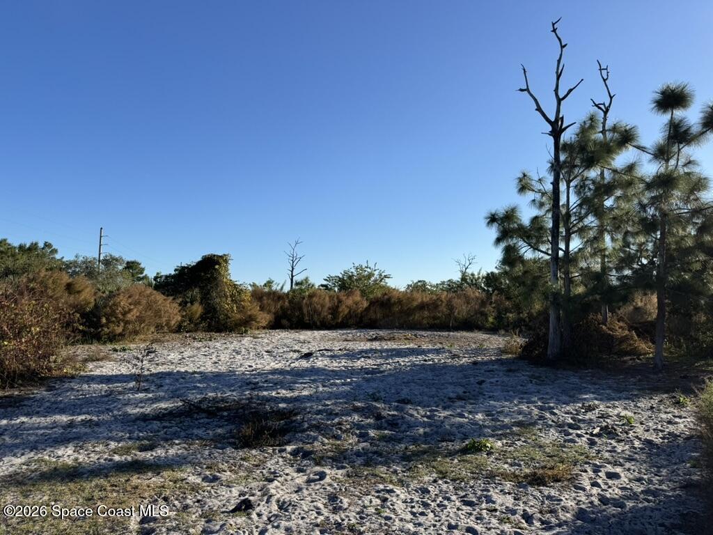 4865 Sand Point Road Grant, FL 32949 - Photo 12 of 18 a view of a dry yard with wooden floor