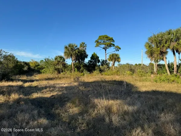a view of a garden with a tree