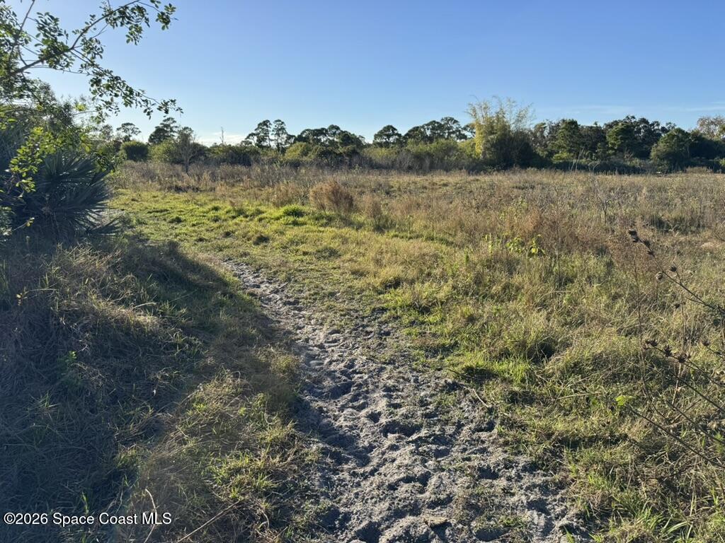 4865 Sand Point Road Grant, FL 32949 - Photo 18 of 18 a view of a lake from a yard