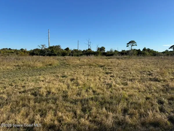 a view of a yard with plants and a bench