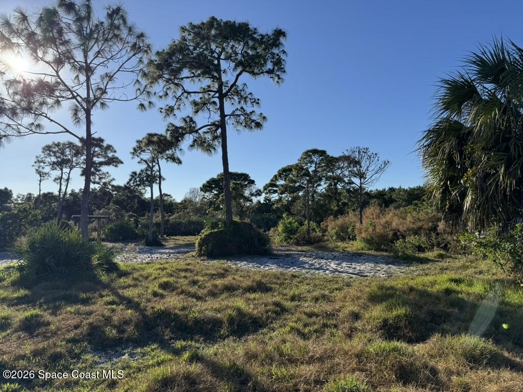4865 Sand Point Road Grant, FL 32949 - Photo 7 of 18 a view of a yard with plants and a bench