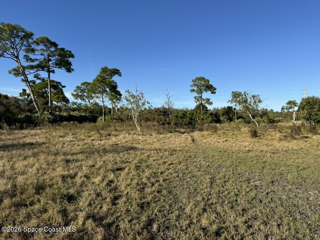 4865 Sand Point Road Grant, FL 32949 - Photo 8 of 18 a view of a garden