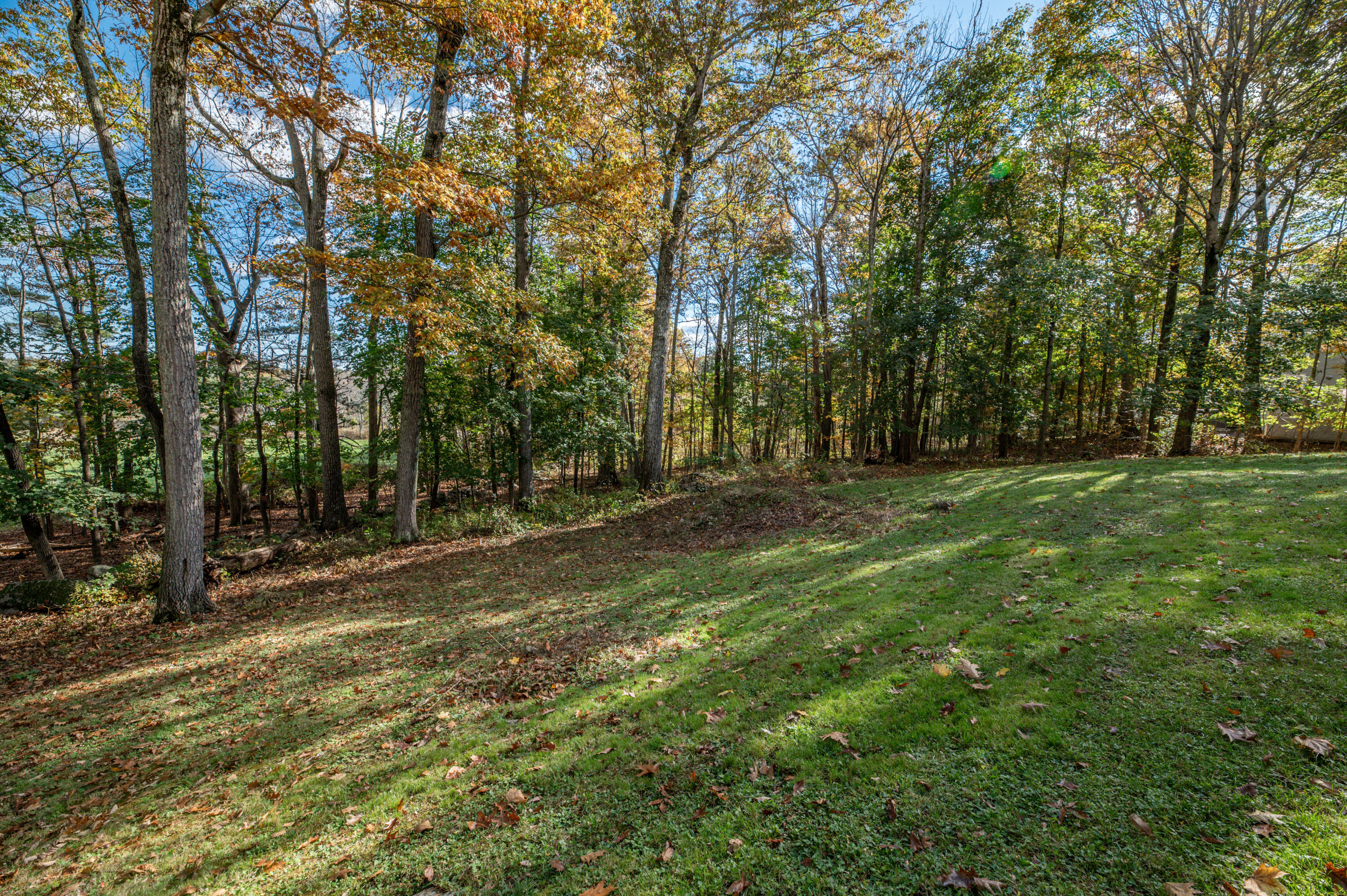 17 Methodist Road Westbrook, ME 04092 - Photo 44 of 60 Backyard