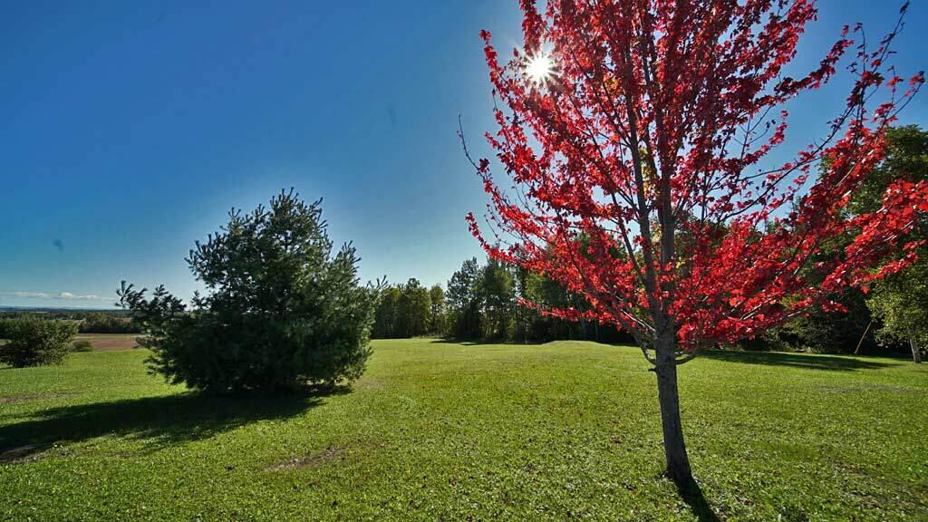 50 Folsom Road Monticello, ME 04760 - Photo 17 of 48 50-folsom-rd-monticello-me