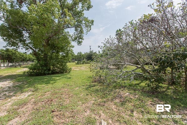 11675 County Road 1 Fairhope, AL 36532 - Photo 7 of 13 Fig Tree