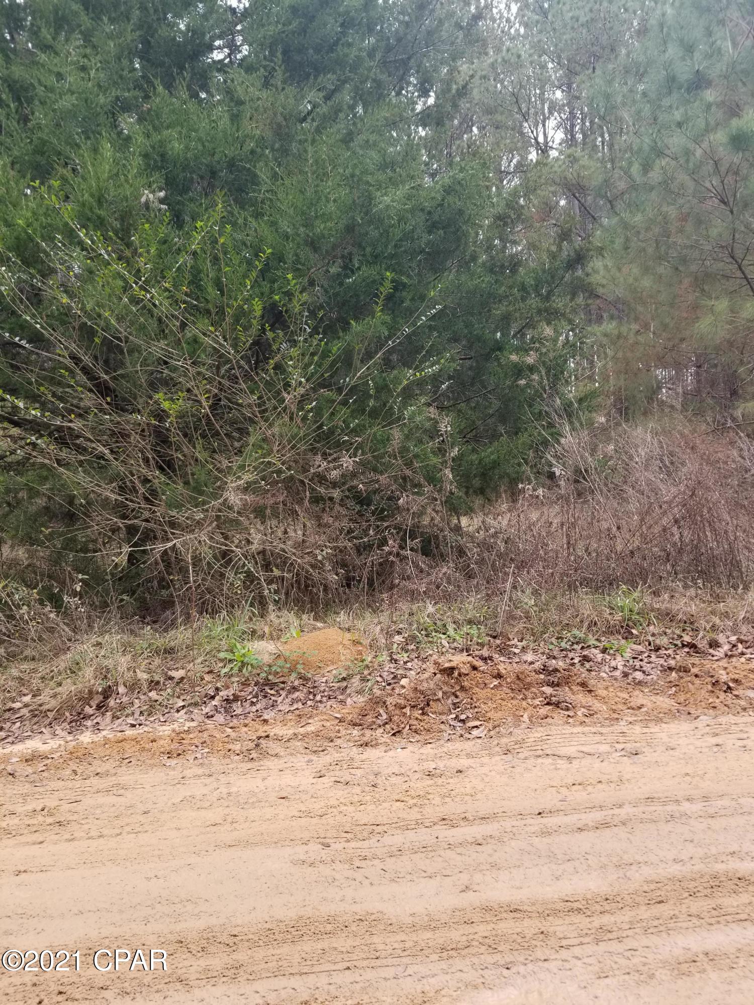 2981 Beall Packing Road Bonifay, FL 32425 - Photo 2 of 38 Gallery Image 2
