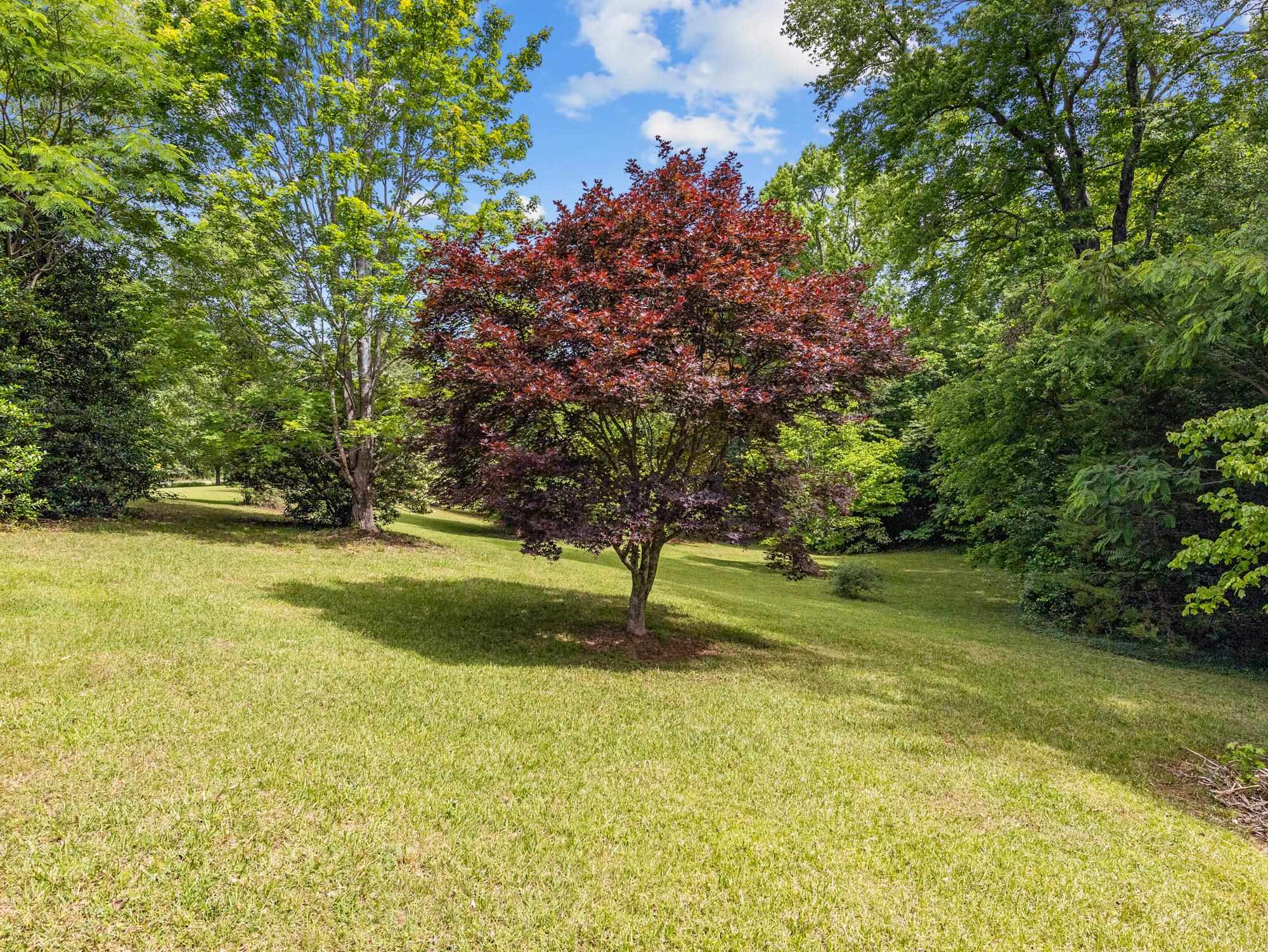 2728 Compton Bridge Road Campobello, SC 29322 - Photo 27 of 35
