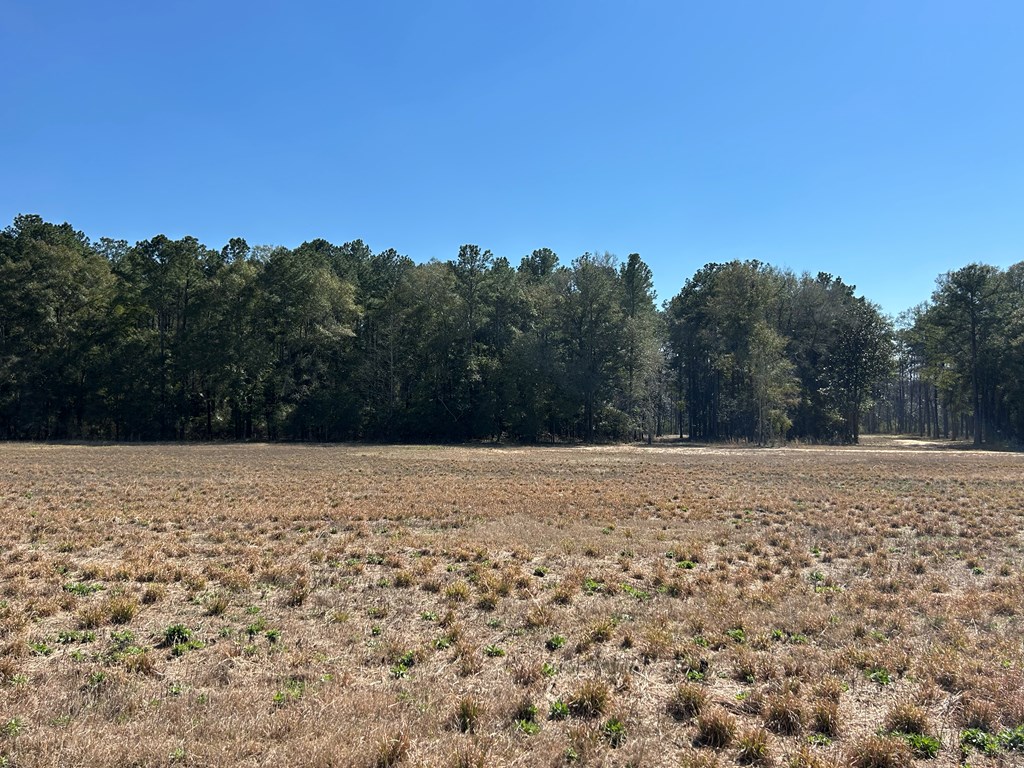 15-ac Webb Road Dothan, AL 36301 - Photo 21 of 33