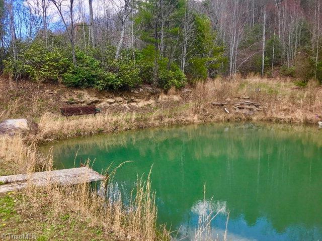 3045 Russell Gap Road Moravian Falls, NC 28654 - Photo 40 of 41 Gallery Image 40
