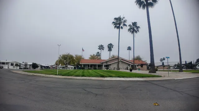 a front view of a house with a yard and palm trees
