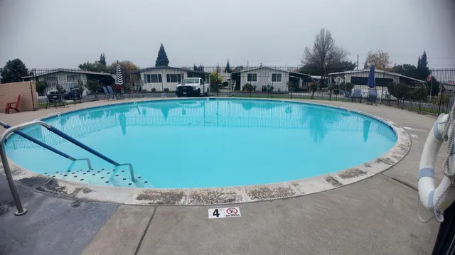 a view of a swimming pool with a bench and trees in the background