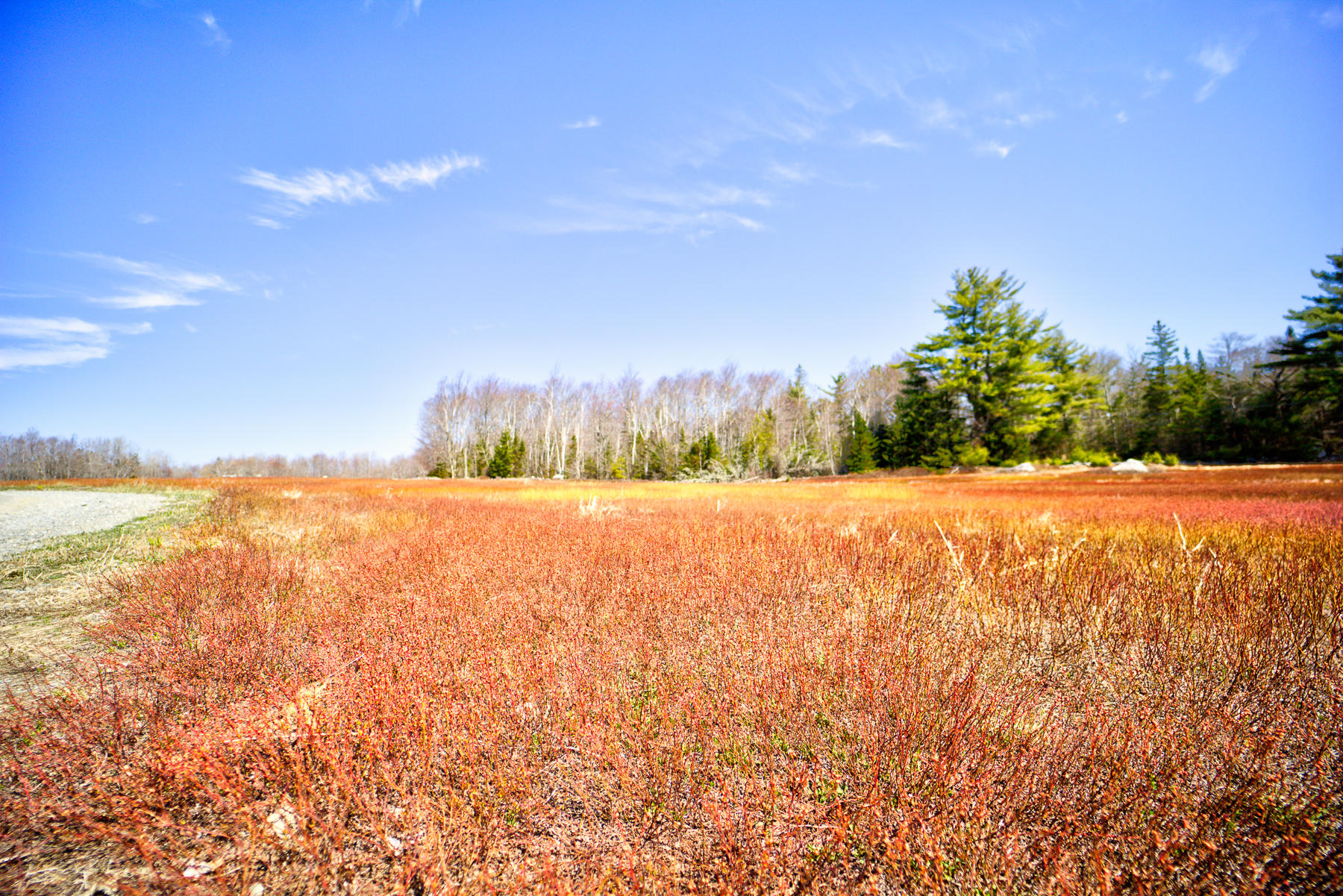 Lot 27 Leach Road Penobscot, ME 04476 - Photo 15 of 16 7