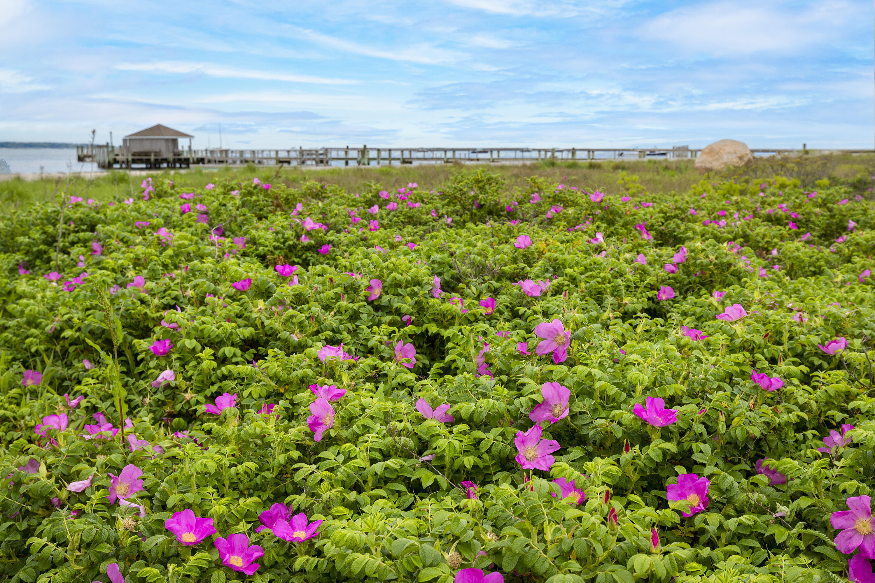 712 Main Street Hyannis, MA 02601 - Photo 75 of 88 Eugenia Fortes Beach