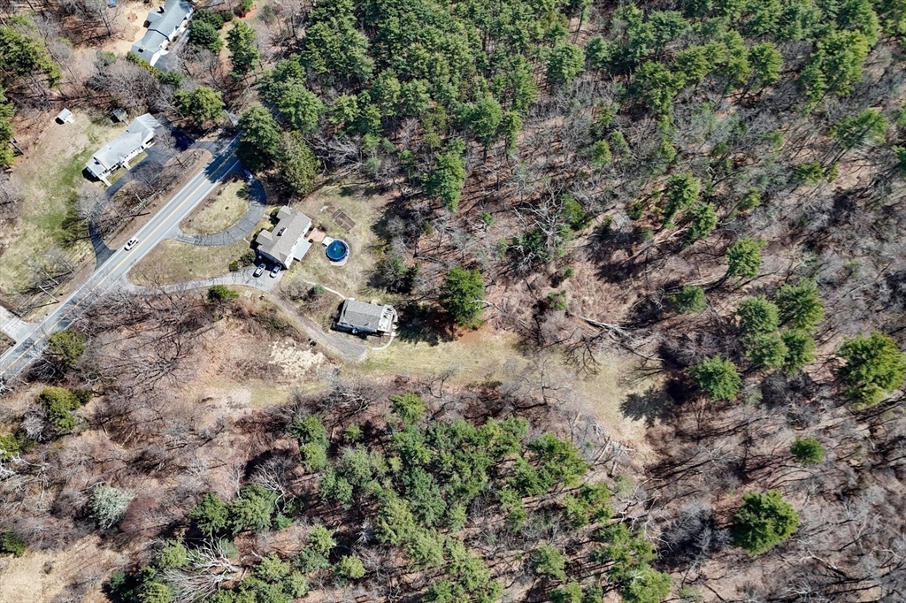 288 Linebrook Road Ipswich, MA 01938 - Photo 26 of 26 a view of a forest with a tree