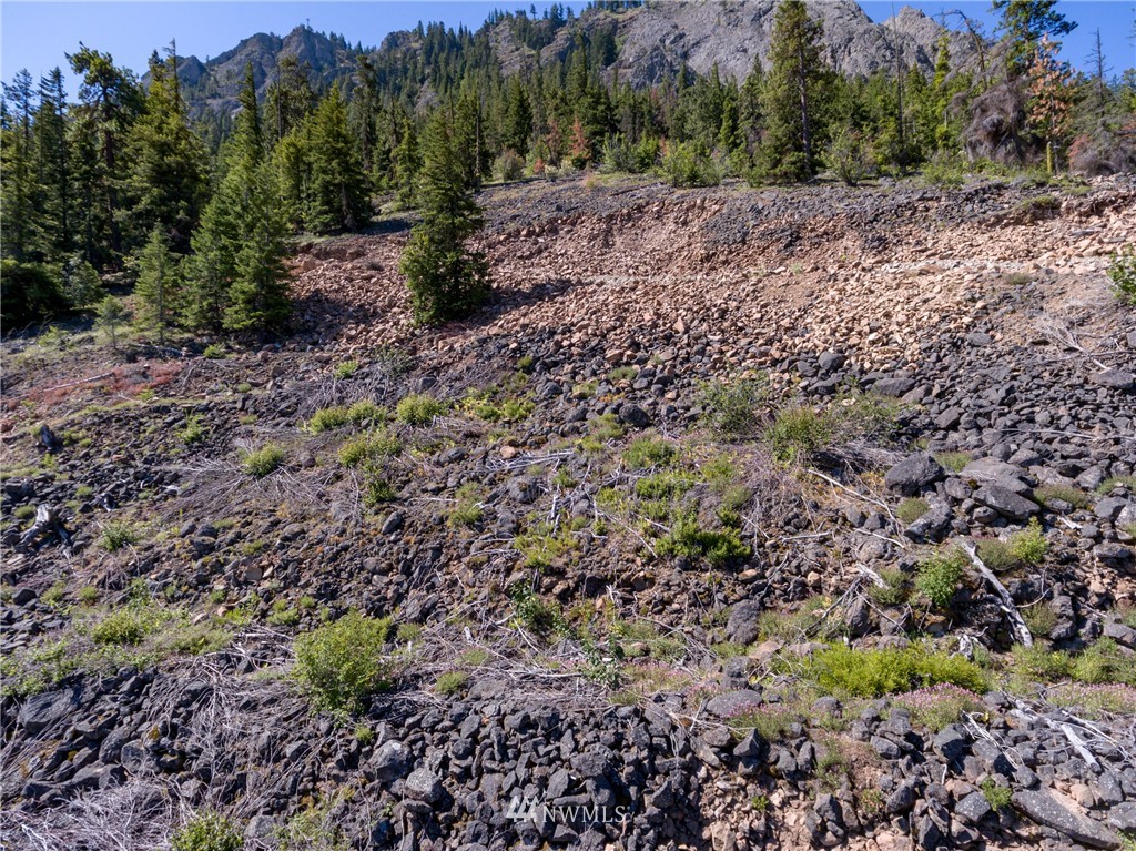 4 Graham Road Cle Elum, WA 98922 - Photo 6 of 8 Gallery Image 6