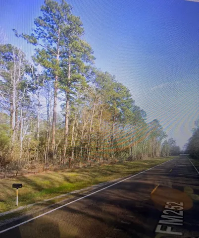 a view of yard with tree