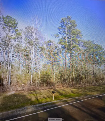 a view of a yard with an trees