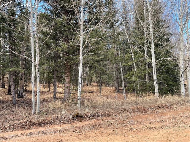136 Valley Rd Lake Florissant, CO 80816 - Photo 3 of 6