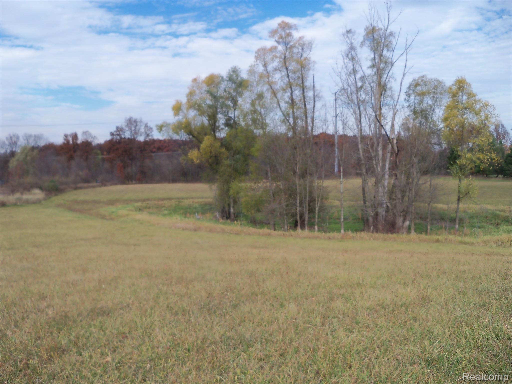 Vl Ray Rd Vl Ray Road Goodrich, MI 48438 - Photo 12 of 16 Gallery Image 12