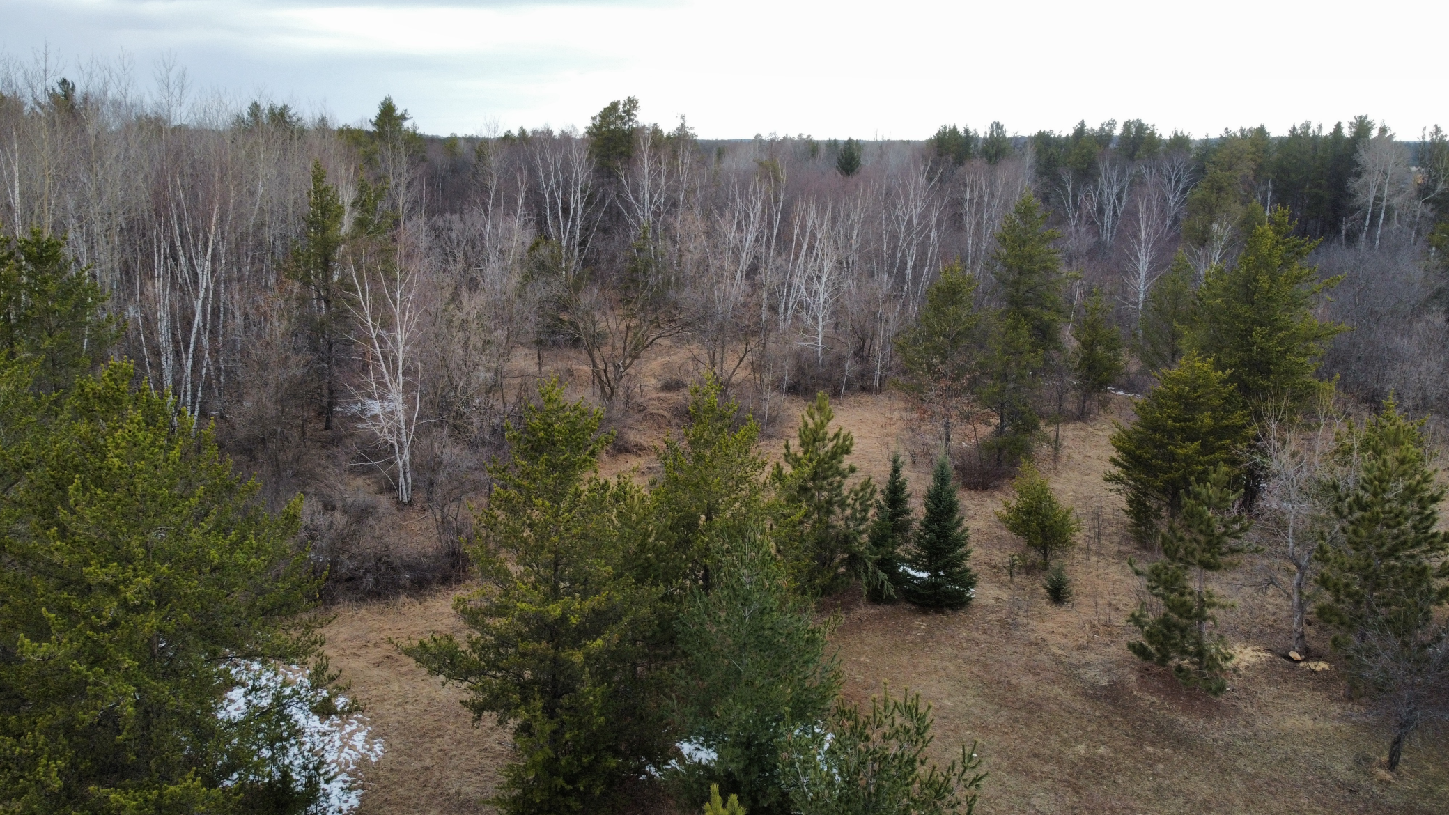 3818 131st Street Southwest Pillager, MN 56473 - Photo 35 of 39