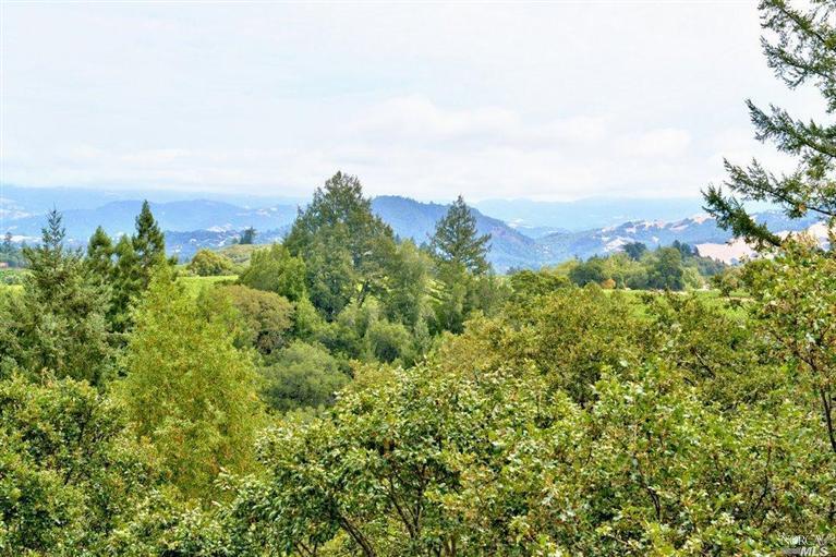 2100 Felta Road Healdsburg, CA 95448 - Photo 1 of 1 an aerial view of a houses with a yard and mountain view in back