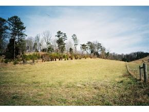 0 Dulaney Road, Unit 8 Mosheim, TN 37818 - Photo 1 of 4 Photo 1