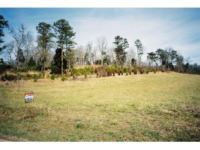 0 Dulaney Road, Unit 8 Mosheim, TN 37818 - Photo 3 of 4 Photo 3