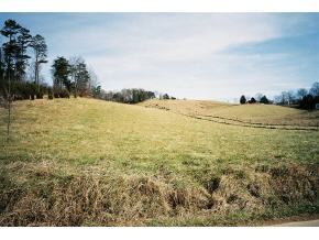 0 Dulaney Road, Unit 8 Mosheim, TN 37818 - Photo 4 of 4 Photo 4