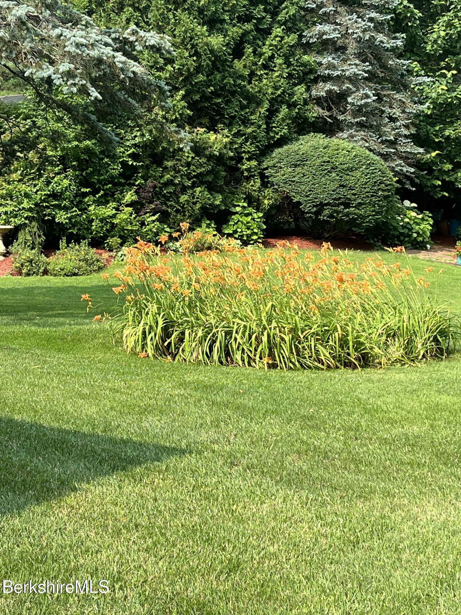 11 Brookside Drive Pittsfield, MA 01201 - Photo 39 of 43 a view of a garden