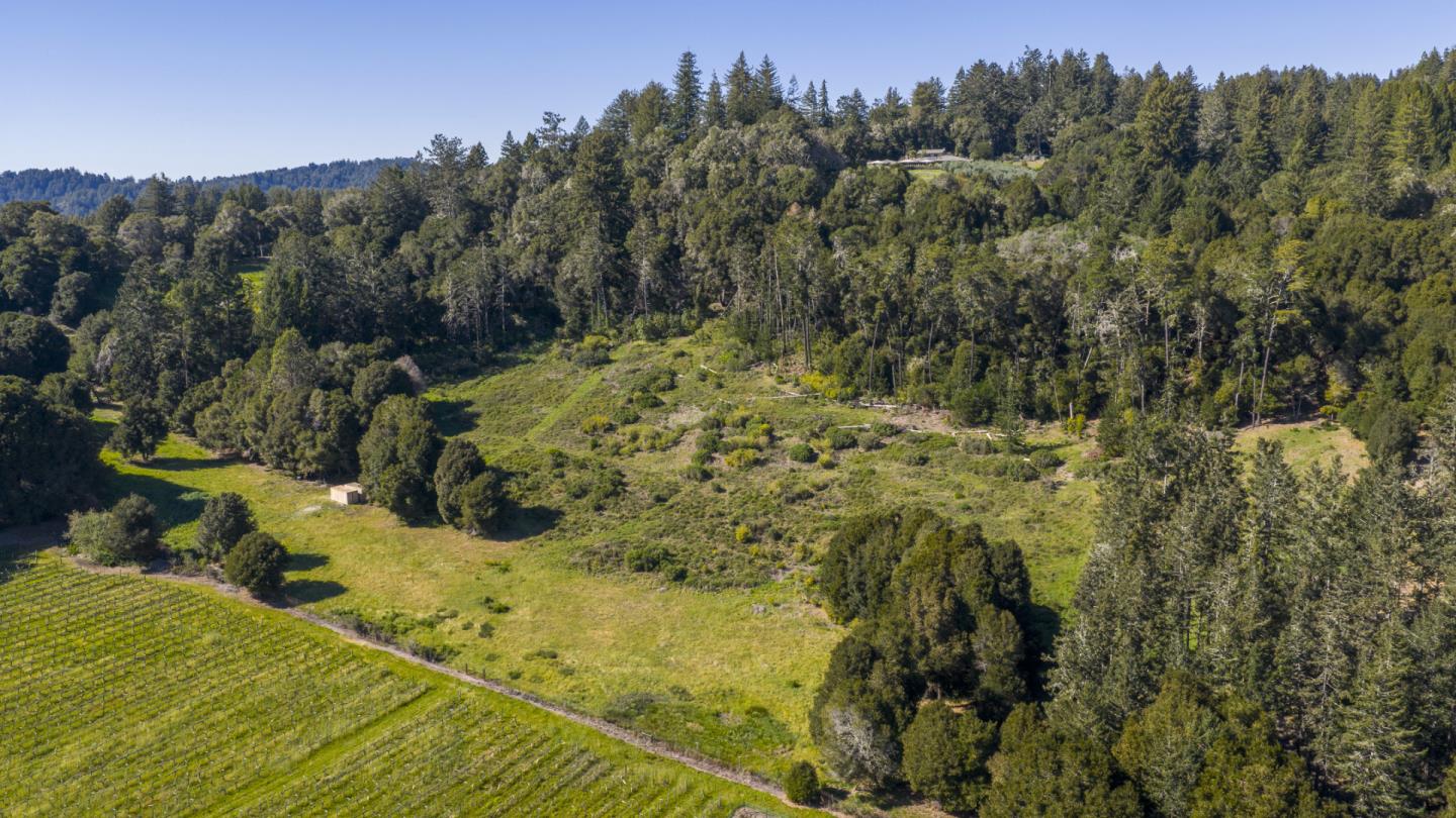 1073 Larsen Road Aptos, CA 95003 - Photo 18 of 18 a view of a yard