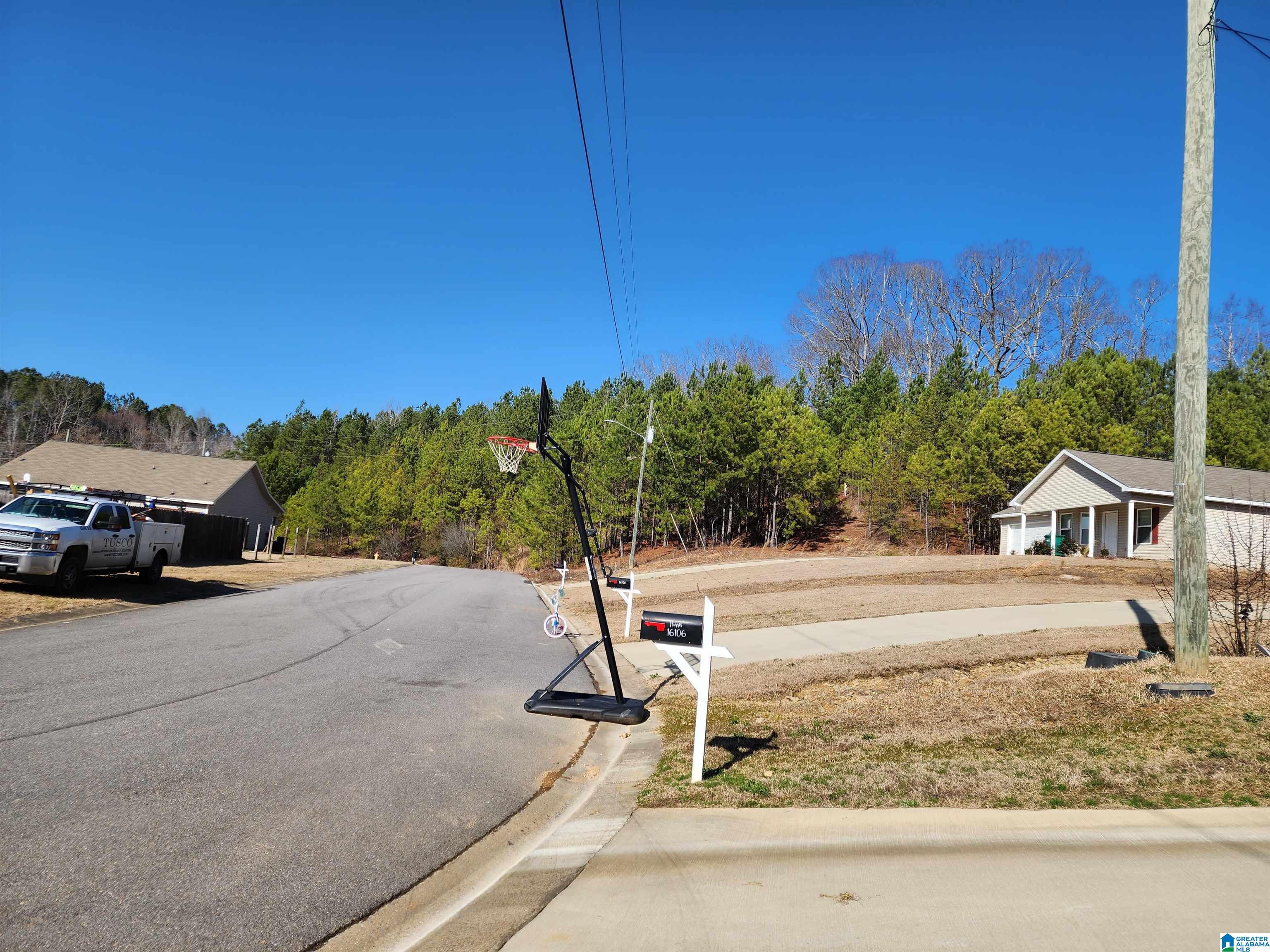 16112 Stone Ridge Parkway Brookwood, AL 35444 - Photo 59 of 60