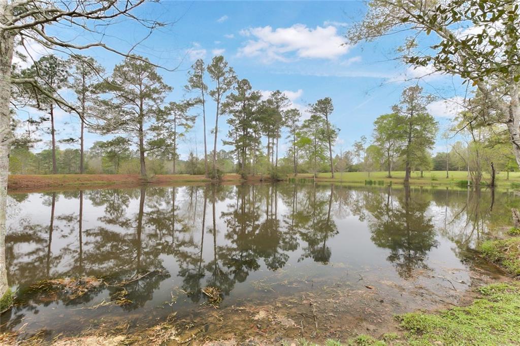 15101 Old Farms Road Folsom, LA 70437 - Photo 12 of 13 Gallery Image 12