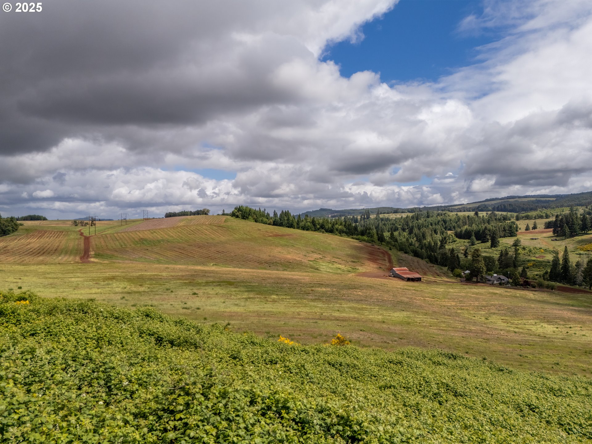 1066 Red Hill Road Oakland, OR 97462 - Photo 35 of 48