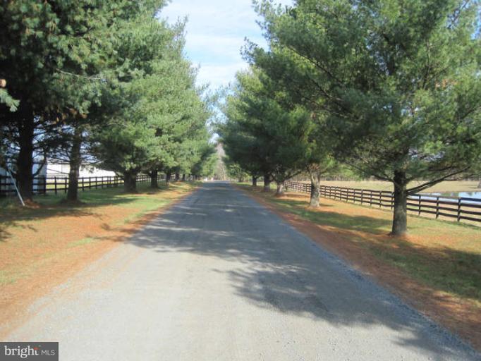 10532 Hunter Road Catlett, VA 20119 - Photo 4 of 5 Road front of property